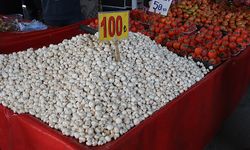 Mersin’de markette kilosu 200 TL olan mantar, pazarda 100 TL