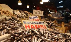 Yağışların başlamasıyla birlikte balık fiyatlarında artış yaşandı