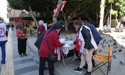 Dev Emekli-Sen Mersin Şubesi, bütçe hakkı için imza topluyor