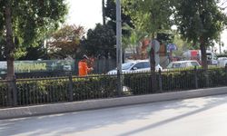 Mersin Büyükşehir, ağaçları zararlı etkenlerden koruyor