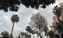 Mersin'de bugün en yüksek hava sıcaklığı 13 derece olacak