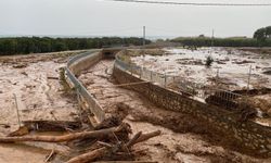 Erdemli'de şiddetli yağış sele neden oldu