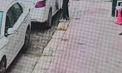 Araç faresi yakalandı