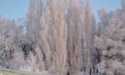 Aşkale'de Sibirya soğukları: Termometreler -30'u gösterdi