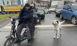 Çarşı pazar peşinden ayrılmıyor