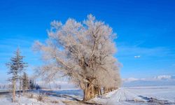 Doğu yine buz kesti