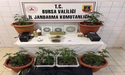 Evine klima takıp uyuşturucu imalathanesine çevirdi