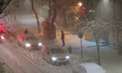 Kars'ta beyaz esaret: Tipiden göz gözü görmüyor