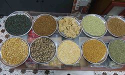 Kilis'in asırlık lezzeti zahter, kahvaltı sofralarının şifa deposu