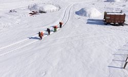 Mazıdağı'nın karlı yollarında zorlu mesai: Kadınlar sırtlarında saman taşıyarak kışa meydan okuyor