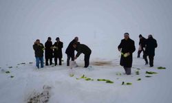Muş'ta yaban hayvanları için doğaya yem bırakıldı