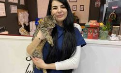 Uzman Veteriner Hekim Tuğçe Kara: 'Tüyü var üşümez inancı yanlış'