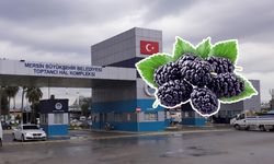 Bu meyvenin kilosu Mersin'de 2 bin 400 TL!