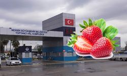 En çok Mersin’de üretiliyor, fiyatı cep yakıyor