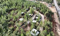 Toroslar Belediye Başkanı Yıldız’dan, sokak hayvanları için kritik uyarı