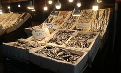 Mersin’de Ocak ayında en çok satılan balık: Gümüş balığı