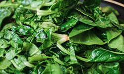 Ispanak cep yakıyor: Kilosu 30 TL