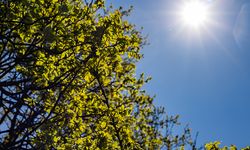 Mersin’de 25 Ocak’ta hava durumu nasıl olacak?