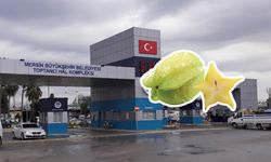 Mersin Hali’nde kilosu bin 801 TL: Yıldız meyvesi