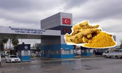 Mersin Hali’nde zerdeçalın kilosu 800 TL’ye satılıyor