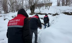 2 bin rakımda gıda seferberliği: Karlı yolları aşarak çocuklara bilgi taşıdılar