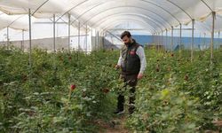 Adana'da sevgililerin gülleri dalında kurudu