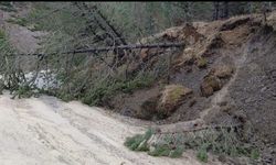 Amasya'da ormanlık alanda heyelan: Ağaçlar devrildi