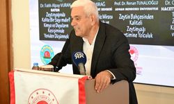 Antalya'da zeytinlik alan 20 yılda 2 katına çıktı