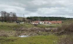 Arnavutköy'de elektrikli testereli saldırı: Çiftlik evinde dehşet