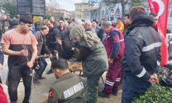 Dağıtılan 2 bin meyve fidesi toprakta hayat bulacak