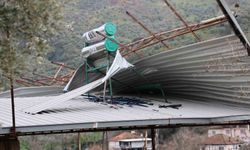 Fırtına yıktı geçti