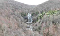 Kar suları Suuçtu Şelalesini coşturdu...