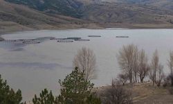 Kurumaya yüz tutan barajda doluluk oranı yüzde 50 seviyelerine yaklaştı