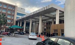 Mersin'de hastane koridorlarında dolaşan köpek tedirgin etti