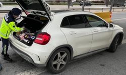 Mersin'de trafik denetiminde sahte avukat kimliği gösteren şahıs yakalandı