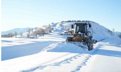 Muş'ta 238 köy yolu ulaşıma kapandı