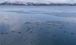 Nazik Gölü'nde buzlar çözüldü, ördeklerin dansı hayran bıraktı