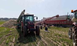 Siirt'te silahla oynayan kişi kazara kendini vurdu