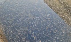 Tekirdağ'da çamur yağdı