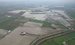 Yağışlar çiftçiyi umutlandırdı