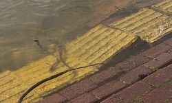 Yaren leyleğin köyü de yükselen göl sularından etkilendi
