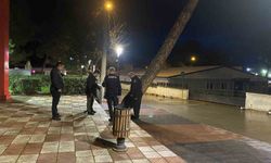 Yarım asırlık çam ağacı fırtınaya dayanamadı