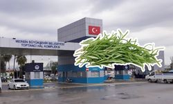 Mersin Hali’nde biberiyenin kilosu 70 TL