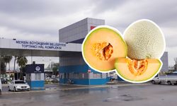 En lezzetli kavun türlerinden biri olan galya kavunun fiyatı cep yakıyor