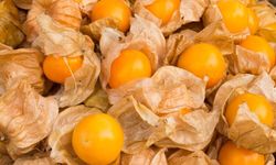 Gençlik meyvesi Mersin Hali’nde kilosu bin 150 TL’ye satılıyor