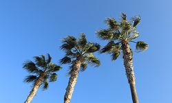 5 Şubat’ta Mersin’de hava nasıl olacak?