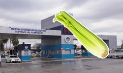 Mersin Hali’nde kilosu 90 TL’ye satılıyor: Kereviz sapı