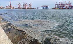 Mersin’de deniz balçıktan geçilmiyor