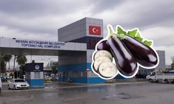 Mersin Hali’nde patlıcanın kilosu 115 TL