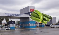 Zam şampiyonu: Çengelköy salatalığı Mersin Hali’nde 158 TL